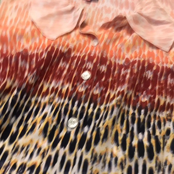 CAbi Peter Pan Collar Love Blouse - Picture 5 of 8